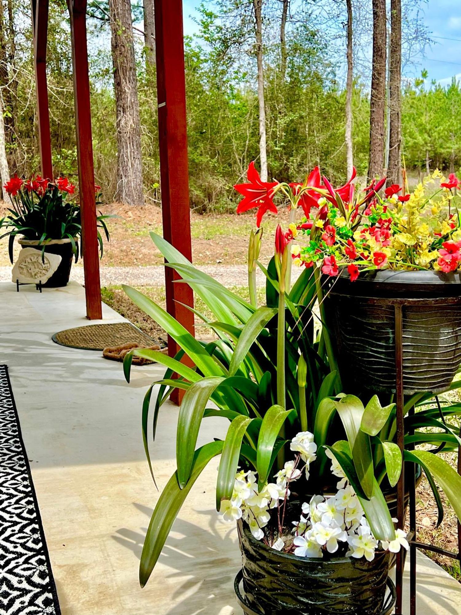 Villa A Tranquil Retreat Loaded With Ambiance! Sleeps 10 à Platt Extérieur photo